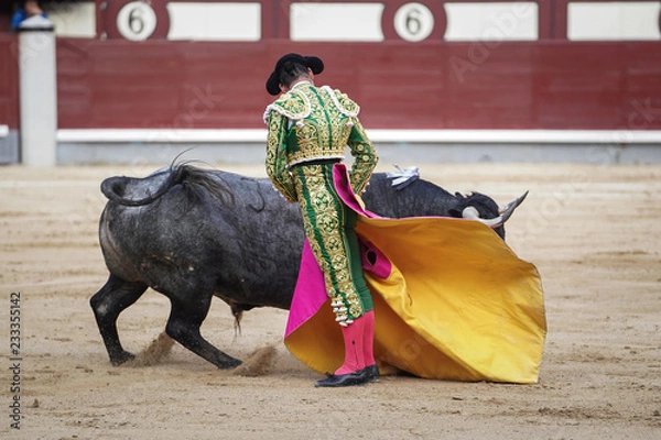 Fototapeta Bull and bullfighter in the ring