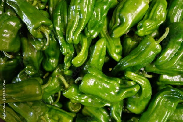 Fototapeta たくさんのピーマン（グリーンペッパー）クローズアップ