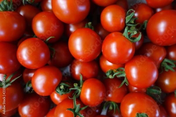 Fototapeta たくさんのミニトマト（赤）クローズアップ