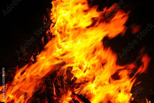 Fototapeta 焚き火