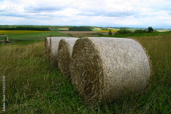 Obraz 美瑛町の麦稈ロール4