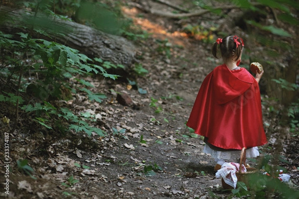 Obraz little red riding hood with a wolf