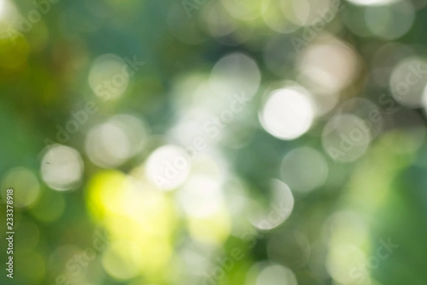 Fototapeta Natural green gradient light and blurred effect image design for presentation background