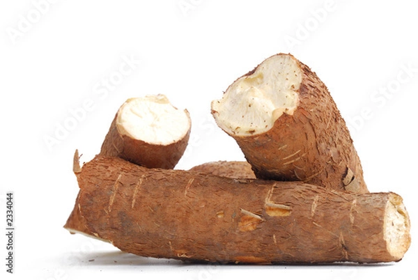 Obraz cassava