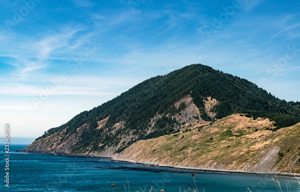 Obraz Humbug Mountain - Oregon
