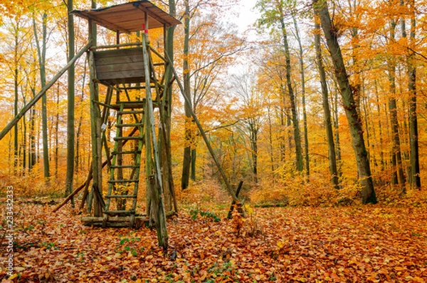 Obraz Wooden lookout tower for hunting in the woods and on meadow