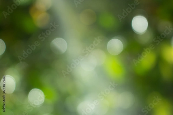 Obraz Natural green blurred abstract for background
