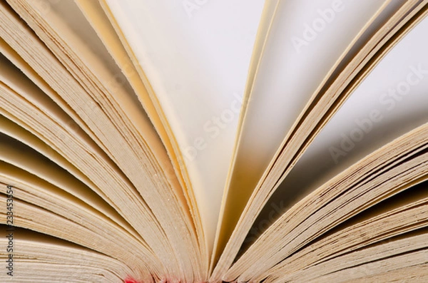 Fototapeta Book page macro education text on blur background