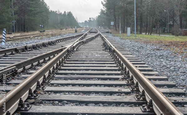 Fototapeta railway in the forest