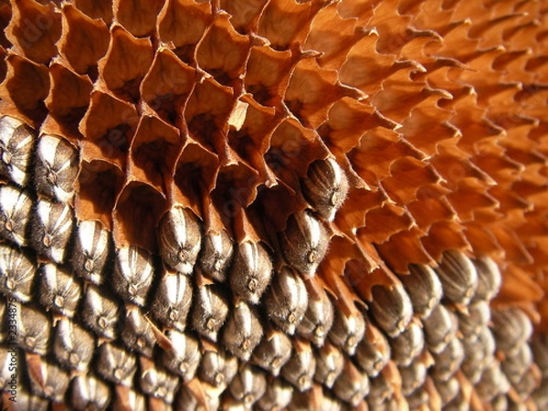 Obraz halb voll, halb leer