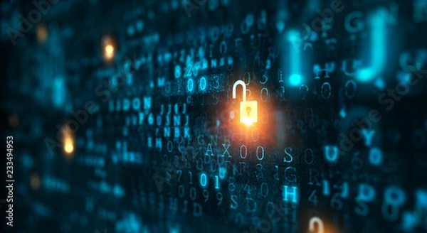 Obraz Koncepcja bezpieczeństwa prywatności