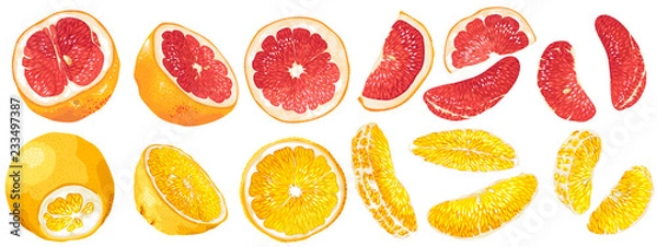 Obraz Set with fruits and fruit parts of grapefruit and orange in vector