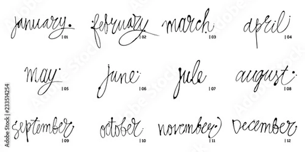 Fototapeta Handwritten names of months December, January, February, March, April, May, June, July, August September October November Calligraphy words for calendars and organizers. Vector illustrations.