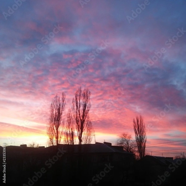 Obraz Розовое небо