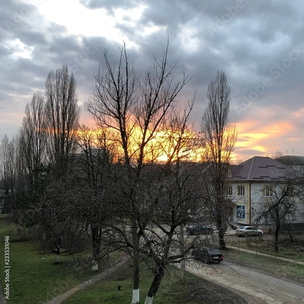 Obraz Природа