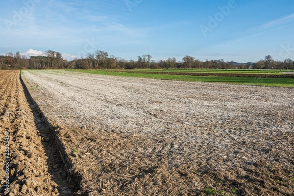 Obraz Acker mit Kalk gedüngt 