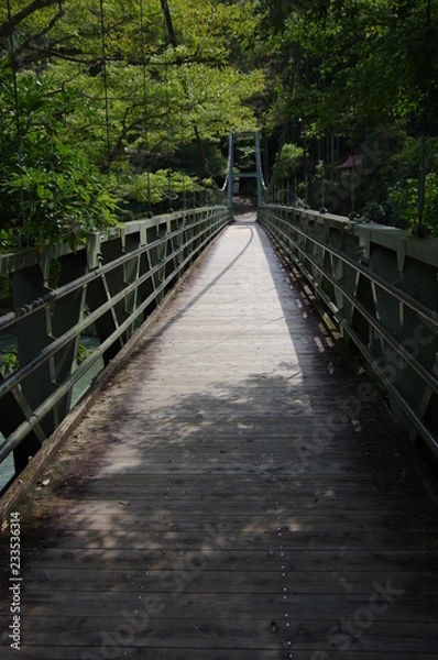 Fototapeta 吊り橋
