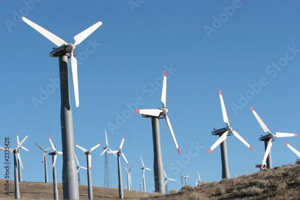 Obraz wind turbines