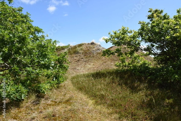 Fototapeta Spiekerogg 