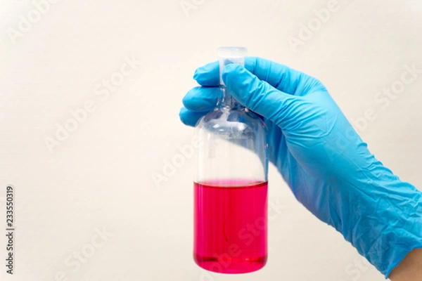 Obraz test tubes in the laboratory