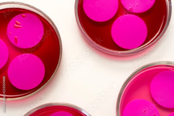 Fototapeta Petri dish