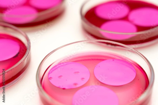 Obraz Petri dishPetri dish