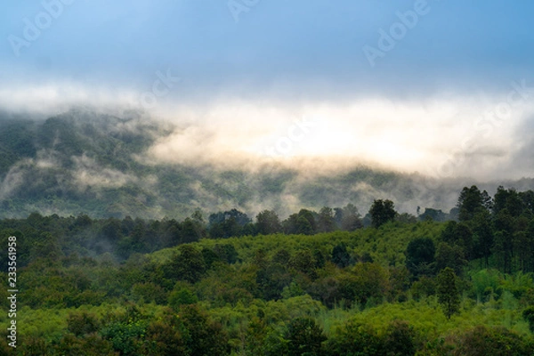 Obraz Foggy morning mountain with foreground forest.