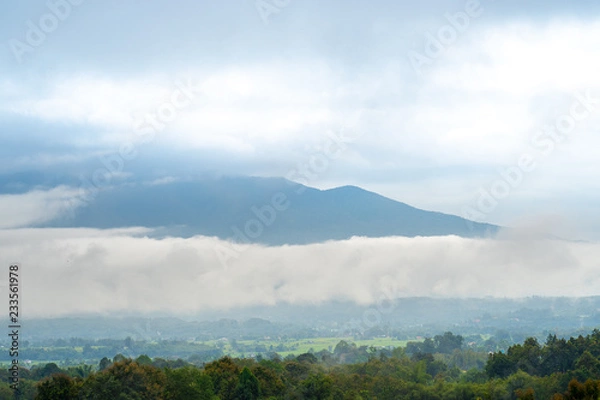 Obraz Foggy morning mountain with foreground forest.