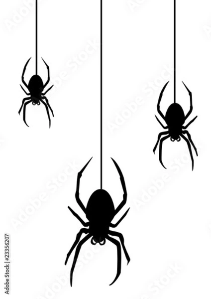 Obraz Spider2010