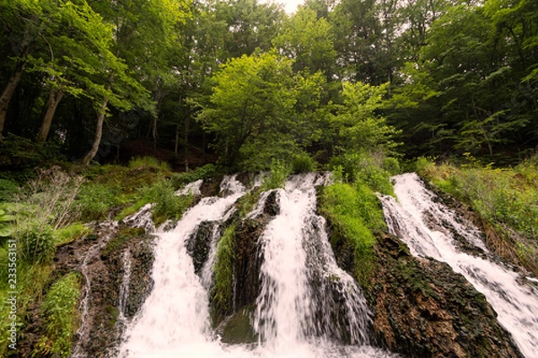 Fototapeta waterfall in forest