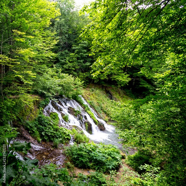 Fototapeta waterfall in forest