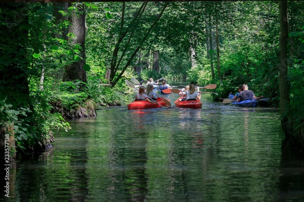 Obraz Paddeln im Spreewald