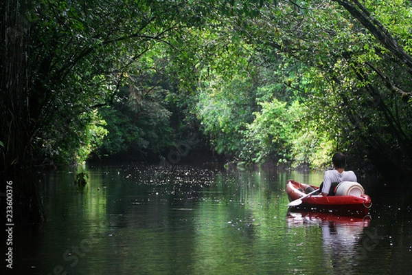 Fototapeta Mystical and beautiful jungle river / stream through green rainforest canopy with a person in red boat. photographed in French Guiana 