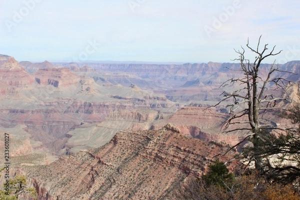 Obraz Grand Canyon
