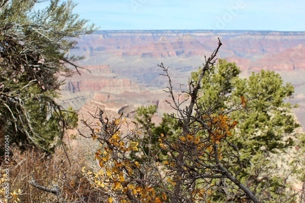 Obraz Grand Canyon