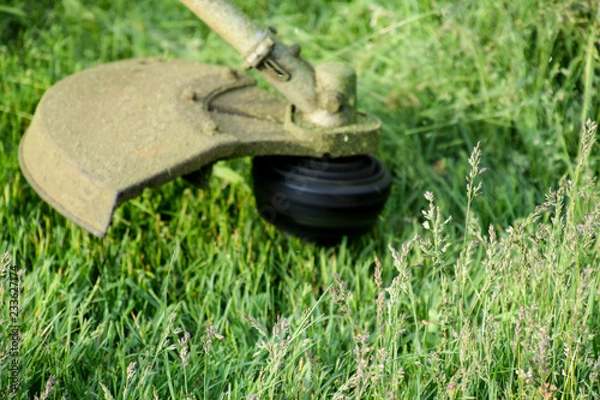 Obraz Mowing green grass using a fishing line trimmer. Application trimmers.