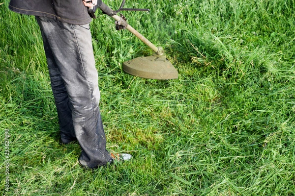 Fototapeta Mowing green grass using a fishing line trimmer. Application trimmers.
