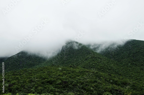 Fototapeta Group of mountains surrounded by haze