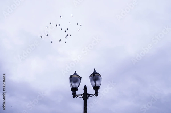 Fototapeta lighthouse with a background of a cloudy sky and a herd of black crows flying behind him, wildlife combined with the day to day