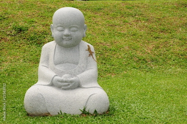 Obraz Young Buddha Statue In The Field