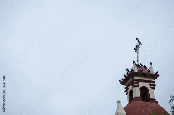Fototapeta group of pigeons standing on the tower of an ancient church, doves resting from long flight, space for text