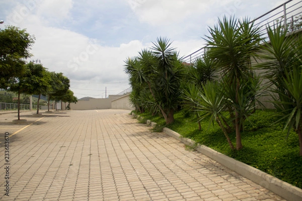 Fototapeta path in park
