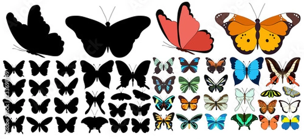 Fototapeta vector, isolated, set of beautiful multicolored butterflies