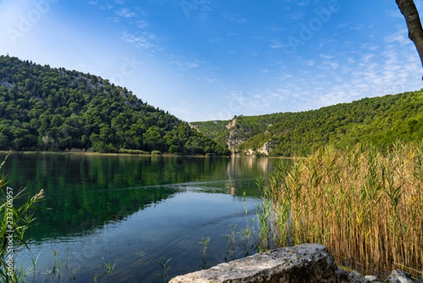 Obraz river in forest