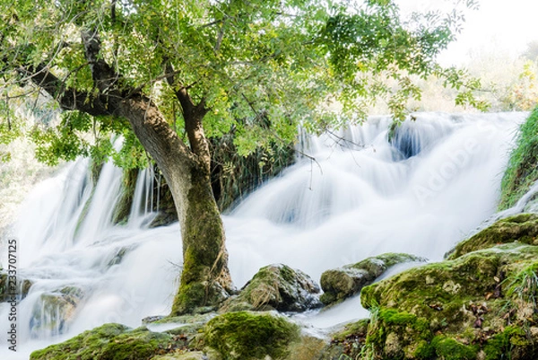 Obraz waterfall in forest