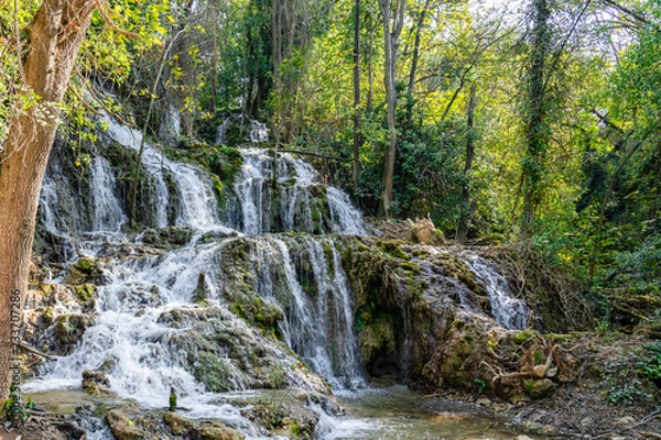 Obraz waterfall in forest