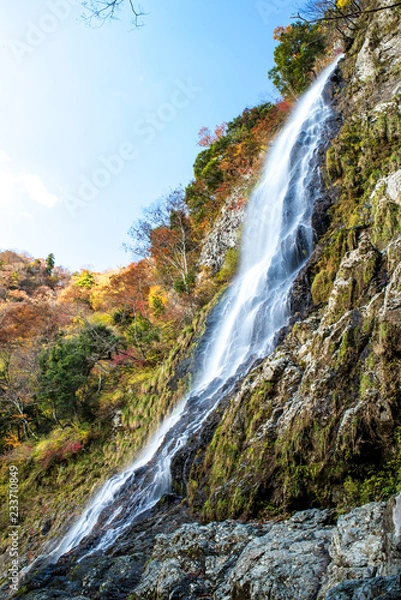 Fototapeta 兵庫県・氷ノ山、天滝の景色