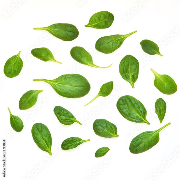 Obraz Spinach leaves. Fresh Green spinach isolated on a white background