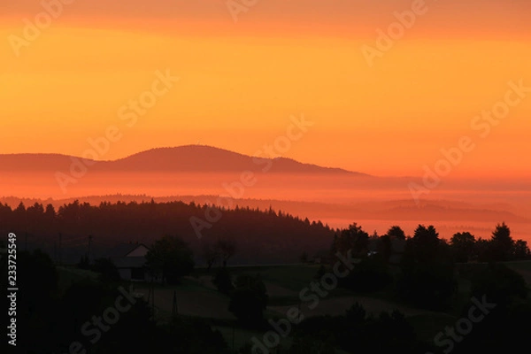 Obraz W kierunku słońca