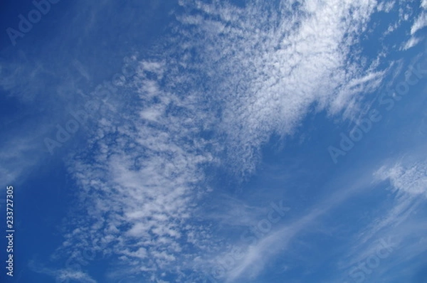 Fototapeta 秋晴れ